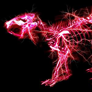 沙滩12人群体交视频
